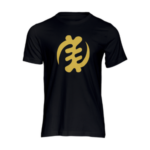 Gye Name Adinkra tshirt | Crowned by Jelani tee  ladies and unisex sizes